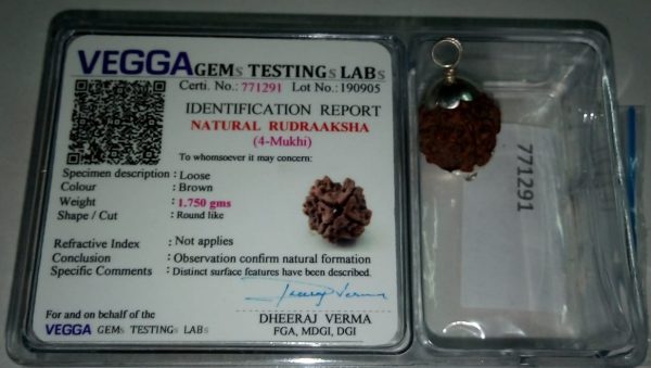 Four Face Original Rudraksha